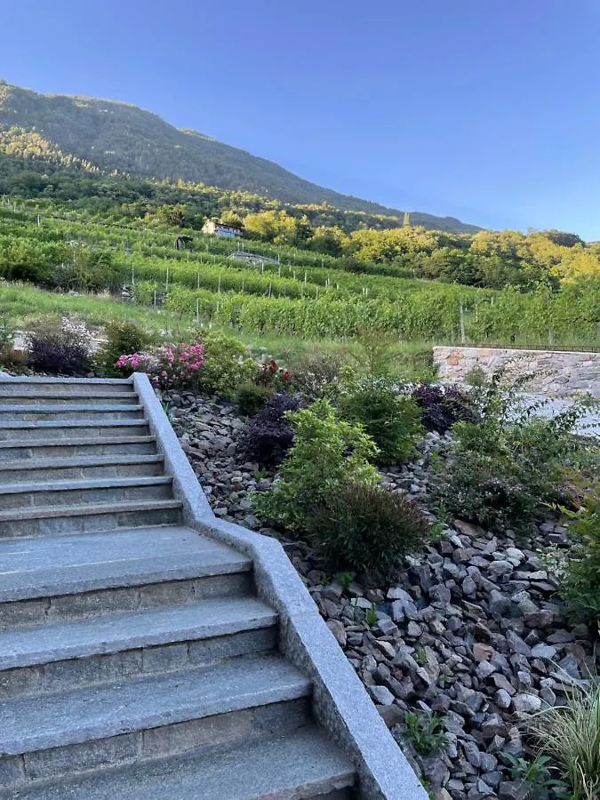 Nebbiolo Wine B&B Castione Andevenno Bed & Breakfast