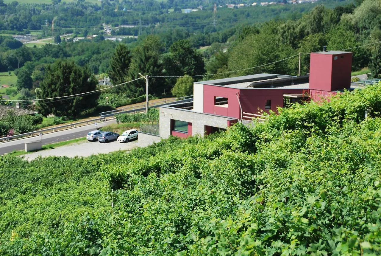 Nebbiolo Wine B&B Castione Andevenno Italy